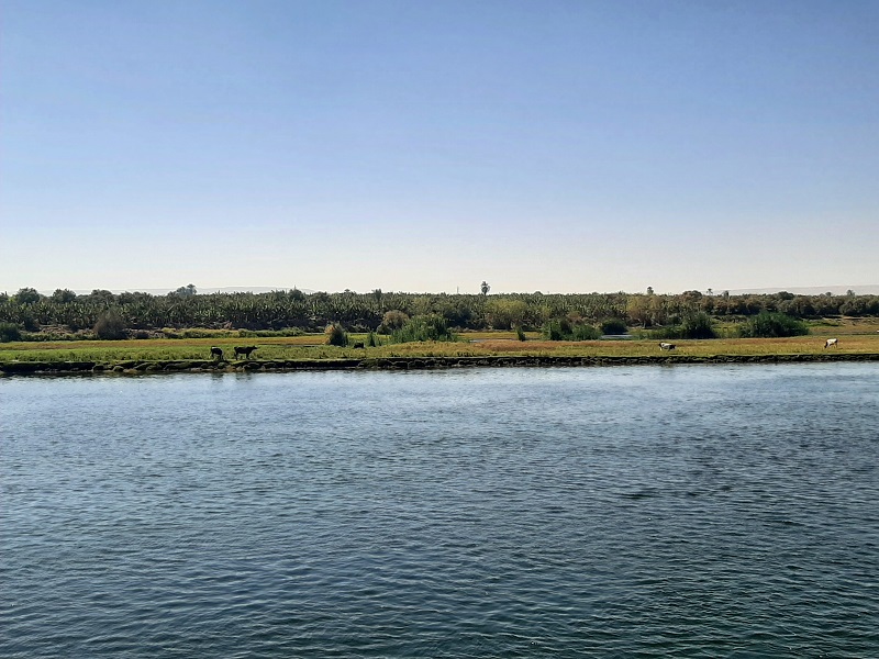west bank river nile