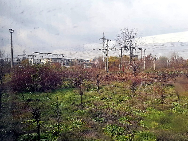 iasi railway lines