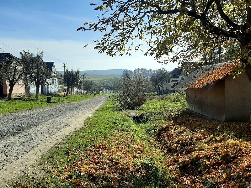 mesendorf meschendorf fortified church autumn colours foliage