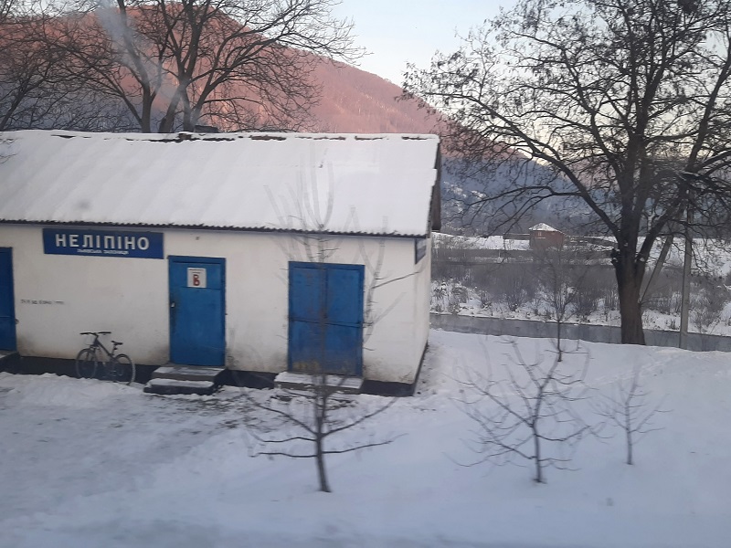 nelipyno station