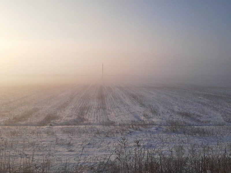 mist fields
