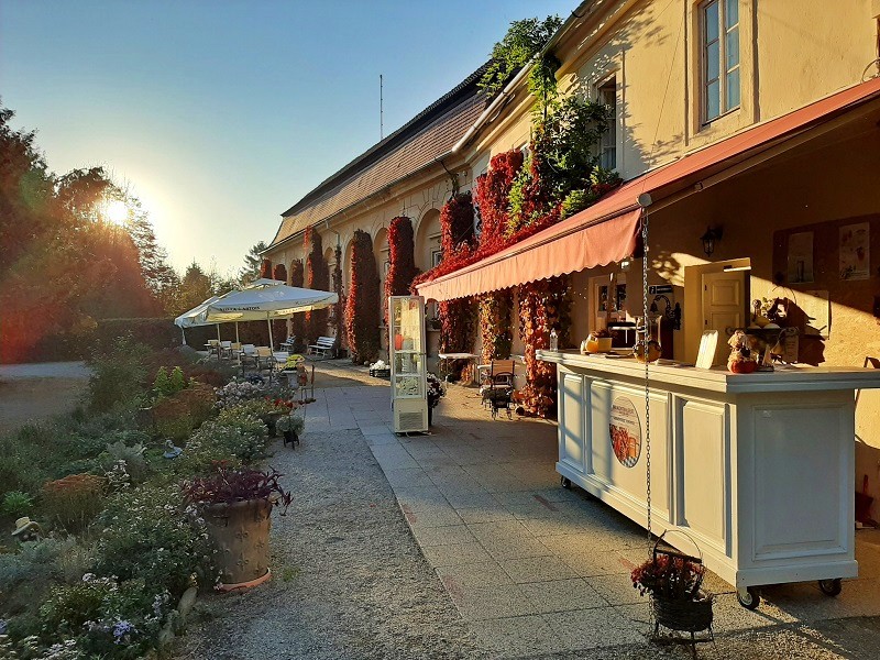 outdoor terrace