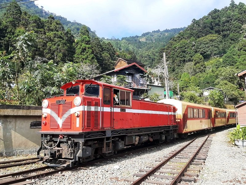 alishan forest railway fenqihu station travel year 2023