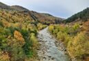 Trotuș River Romania Carpathians autumn travel destinations