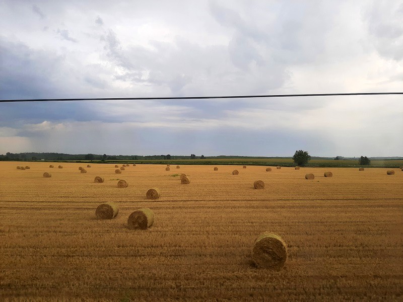 bales of hay