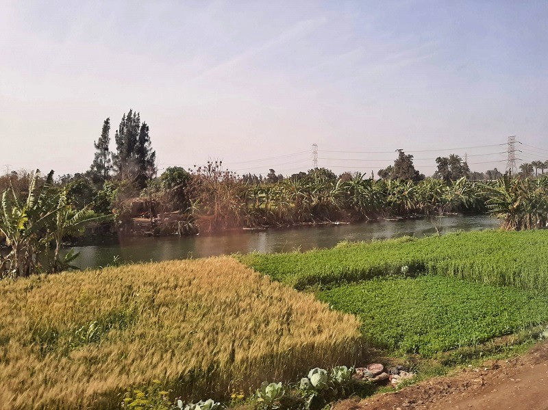 irrigation canal nile delta