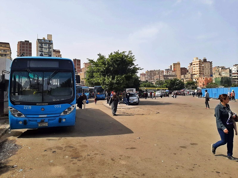 bus alexandria