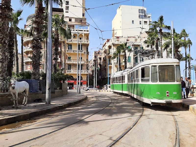 alexandria streetscape egypt tram