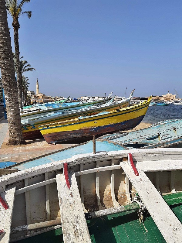 corniche alexandria fishing boats