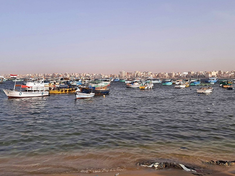 fishing port alexandria