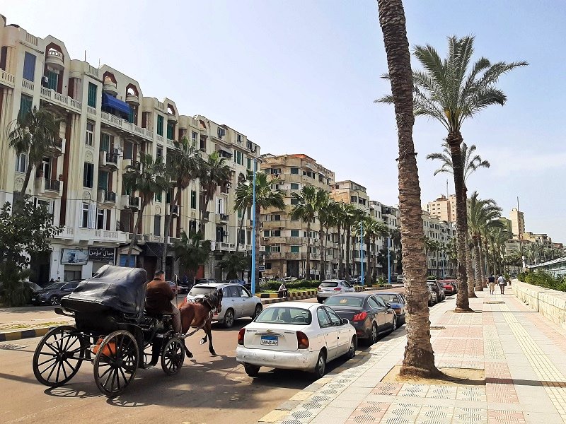 horse-drawn carriage alexandria corniche