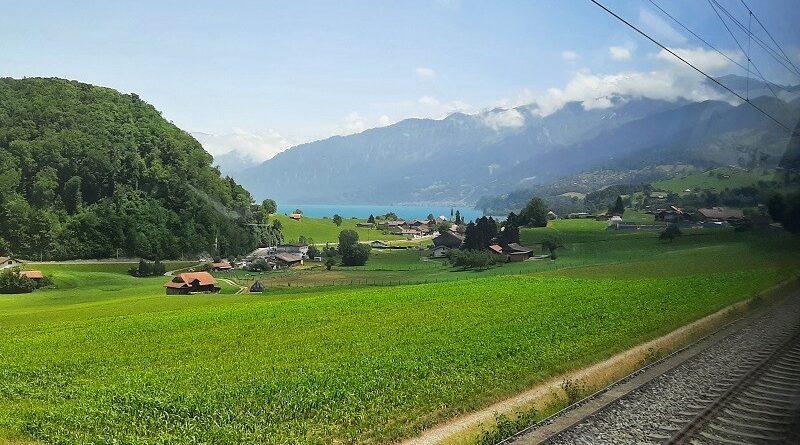 spiez interlaken train lake thun railway