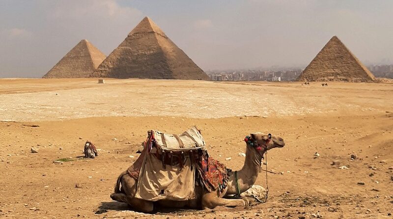 giza pyramids camel egypt safety street hassle