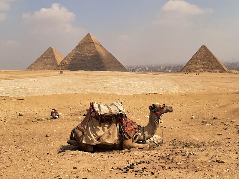 giza pyramids camel egypt safety street hassle