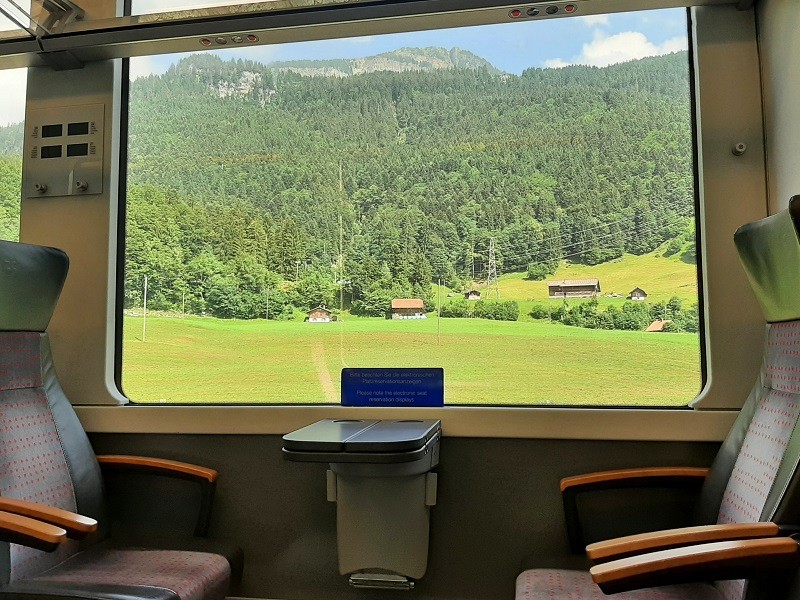 train view