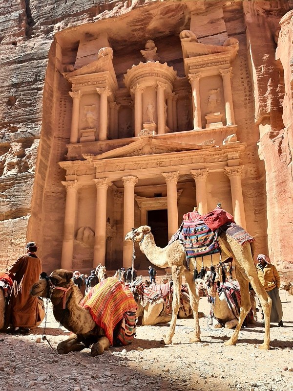 camels treasury petra jordan trip report travel