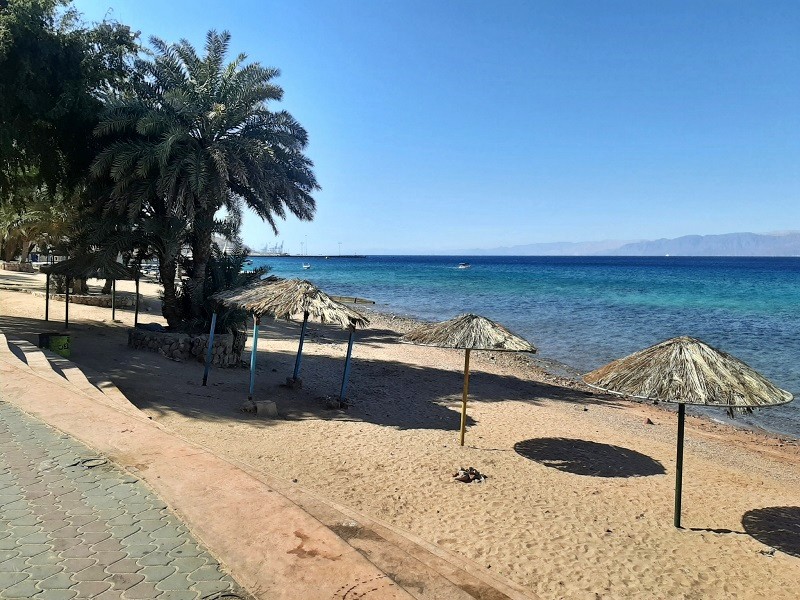 gulf of aqaba beach