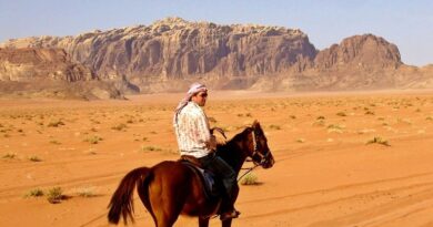 koen wadi rum desert horse riding jordan