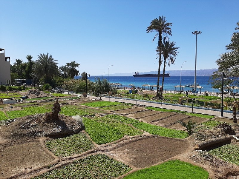 aqaba sea