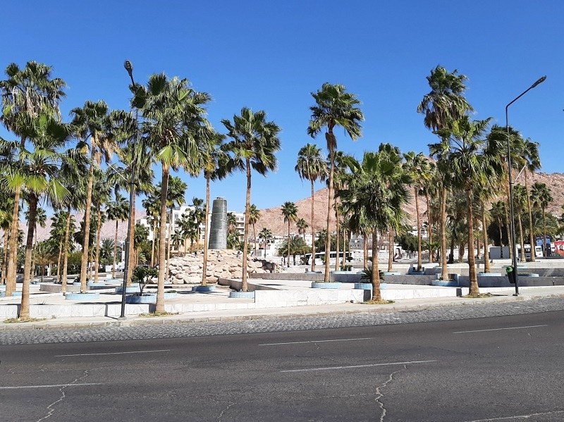 palm-lined roundabout aqaba