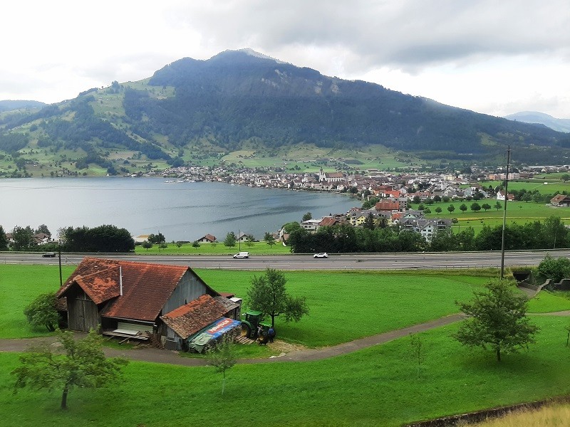 arth-goldau train view