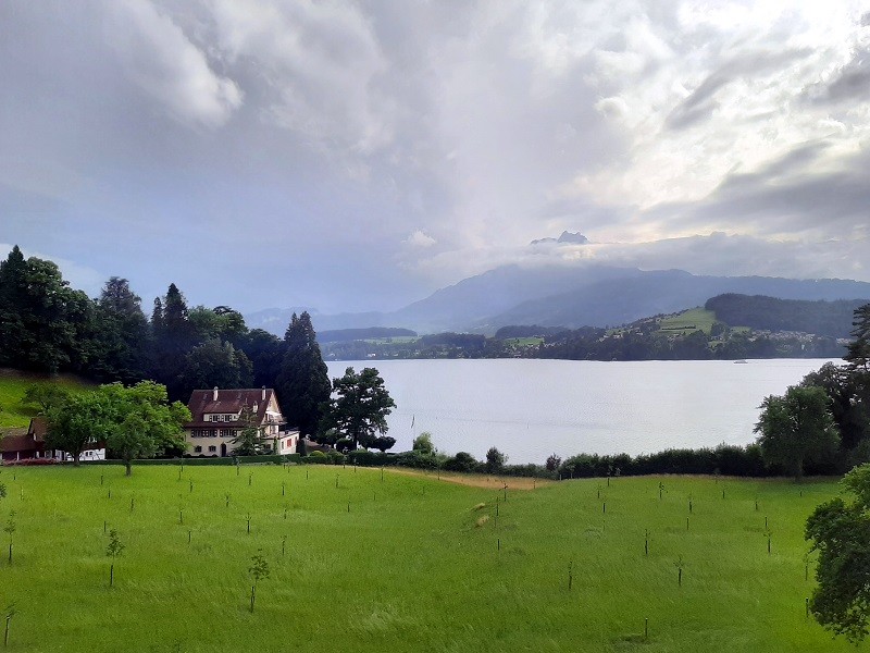 lake lucerne train railway view