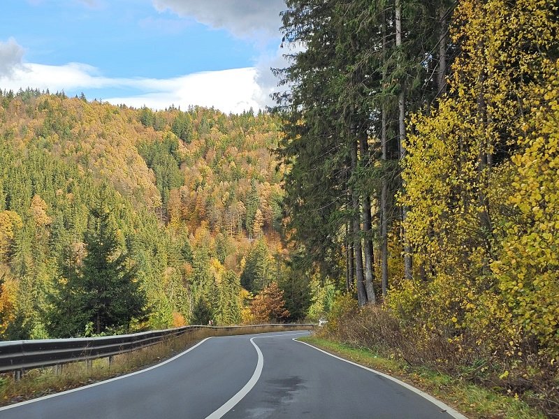 autumn foliage romania