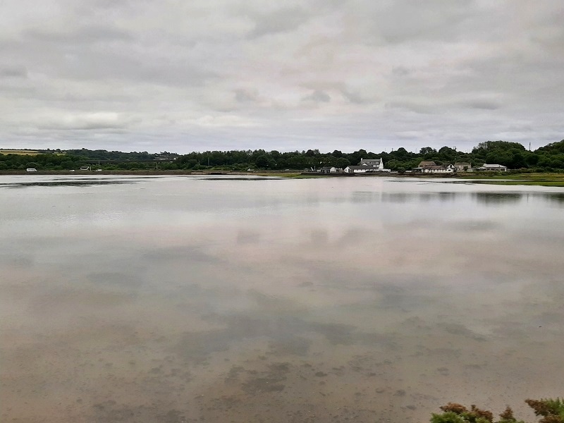 Hayle Estuary view st ives train