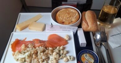 air france intra-europe business class meal