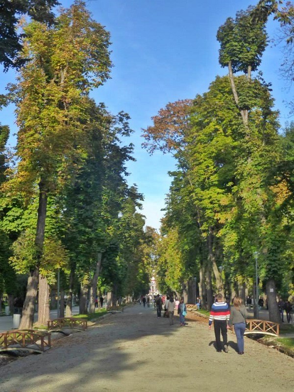 central park cluj