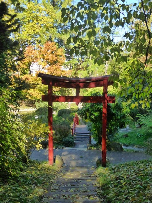 japanese garden