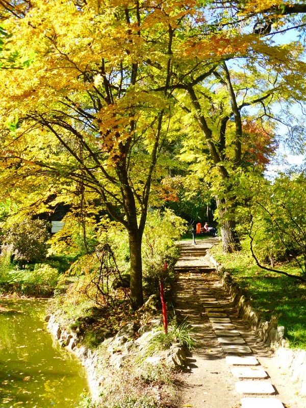 autumn colours gardens