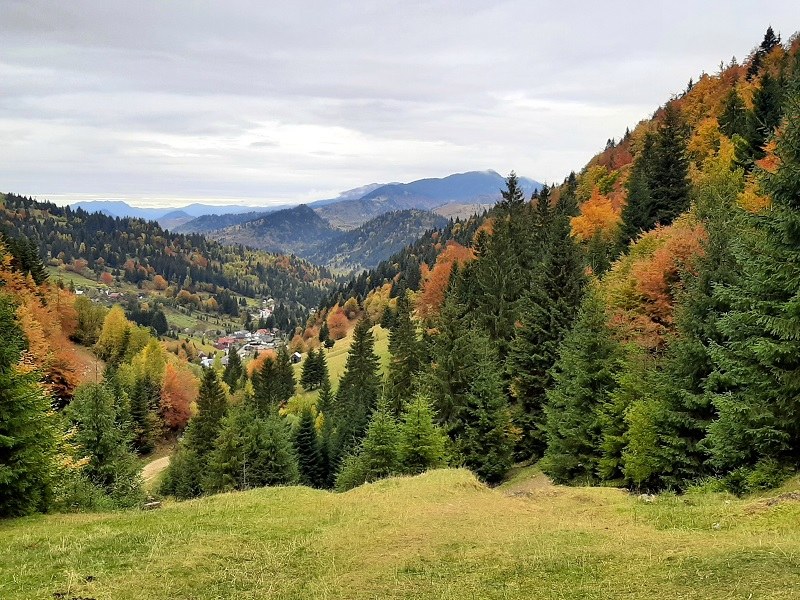 romania Maramureș Borșa autumn scenery mountains