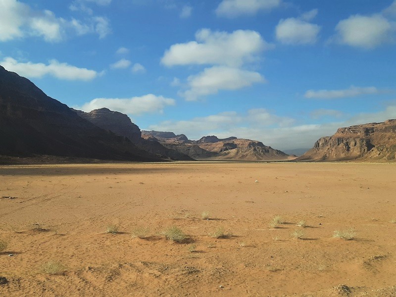 jett bus desert view wadi rum