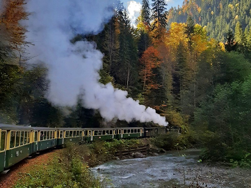 Mocăniță Vișeu de Sus steam train romania autumn travel