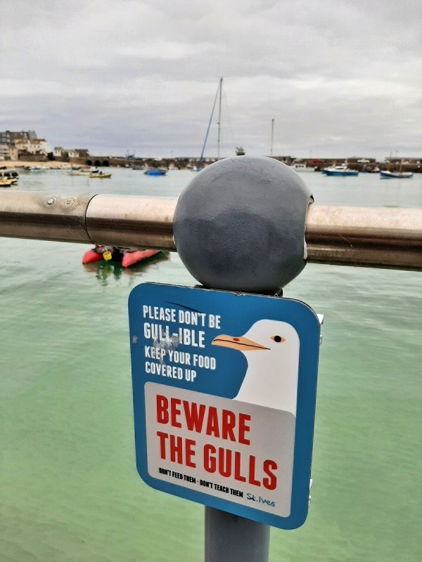 seagulls warning sign