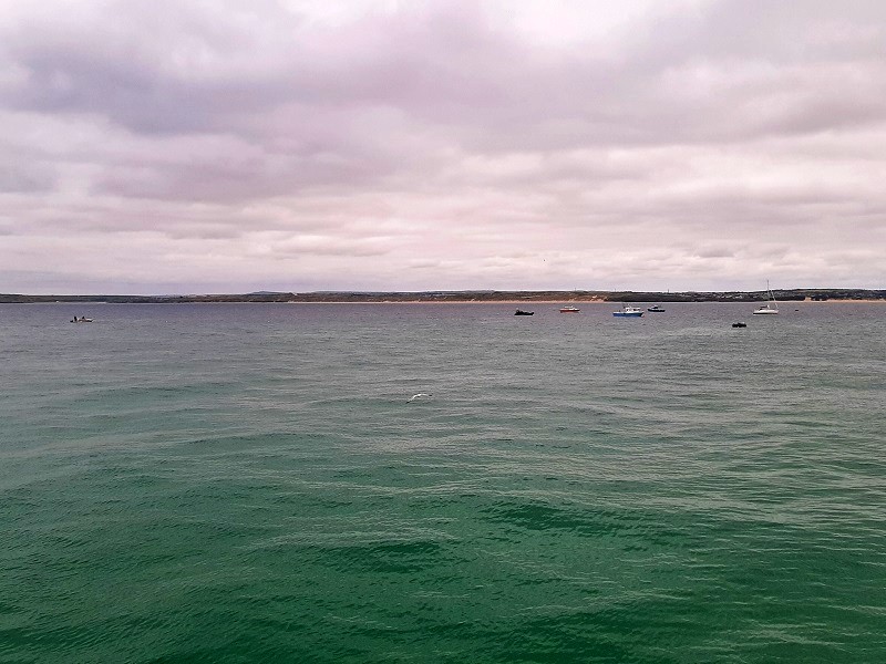 sea view smeaton's pier