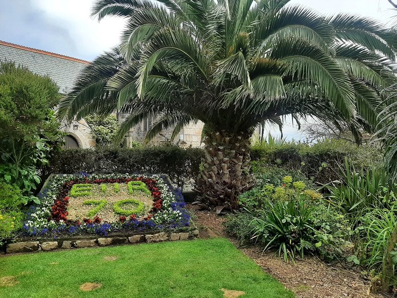 flowers palm tree memorial garden