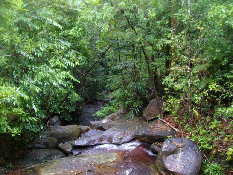 kubah national park