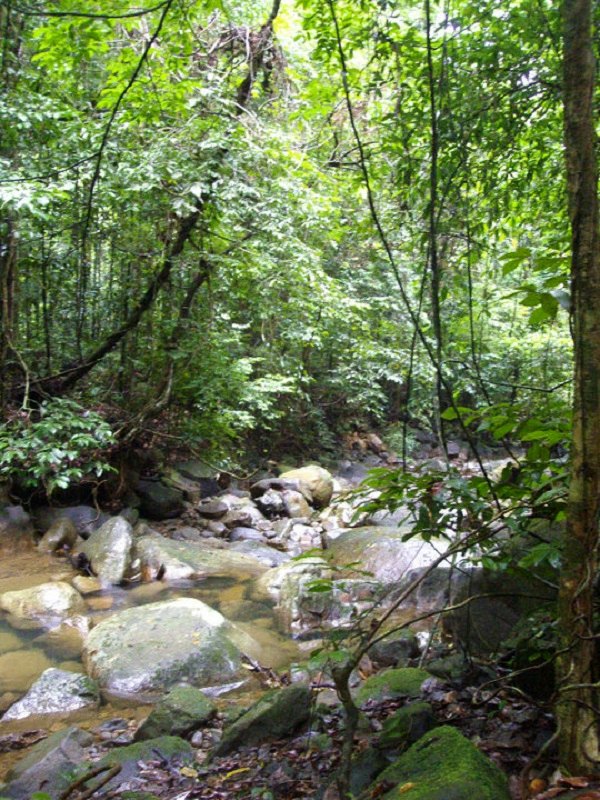 kubah national park scenery