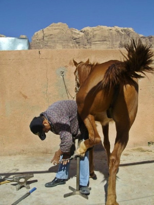 horse stables