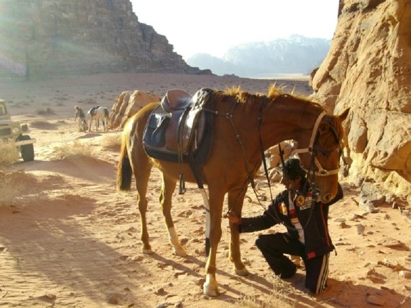 tea rest break wadi rum desert horse riding