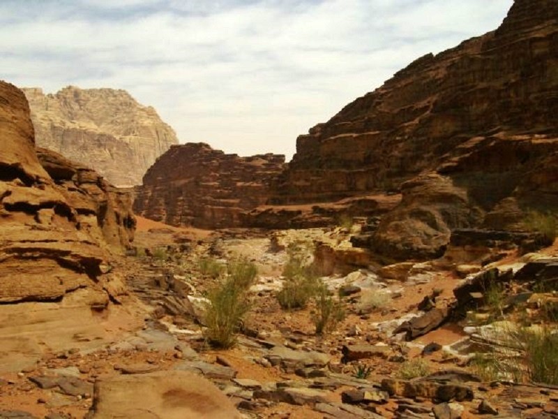 rocky canyon wadi rum desert