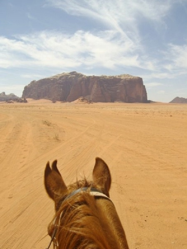 wadi rum desert horse riding