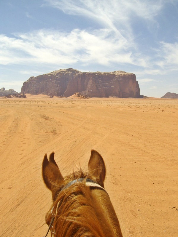 wadi rum desert horse riding