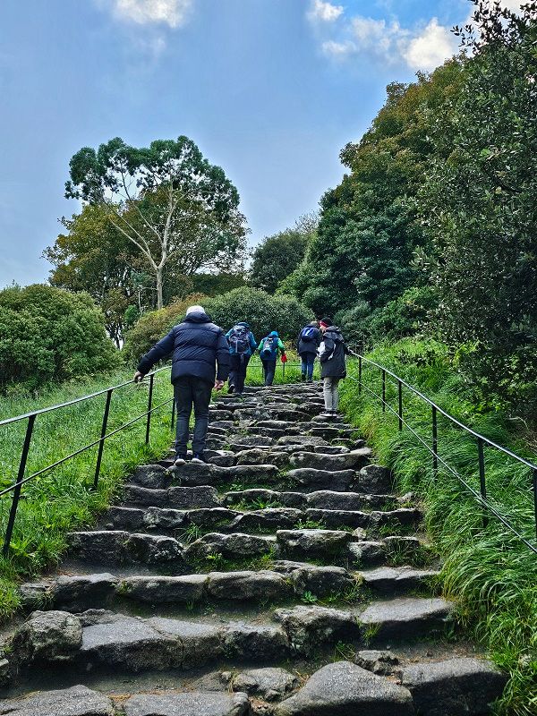 st michael's mount steps