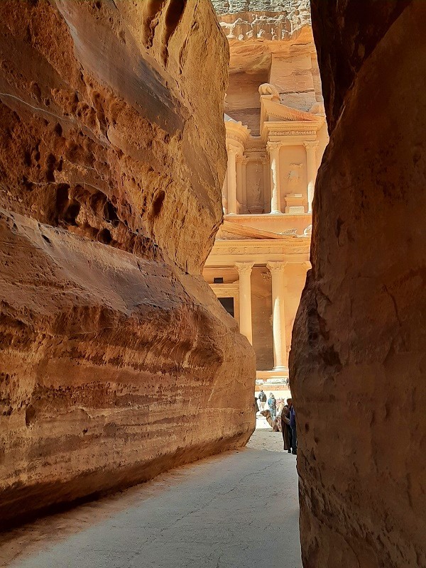 siq view treasury